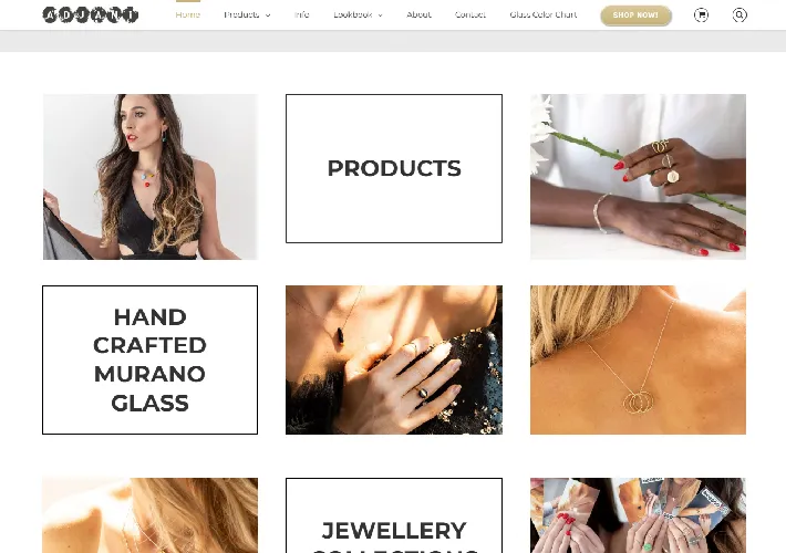 Adjani Website Adjani Website