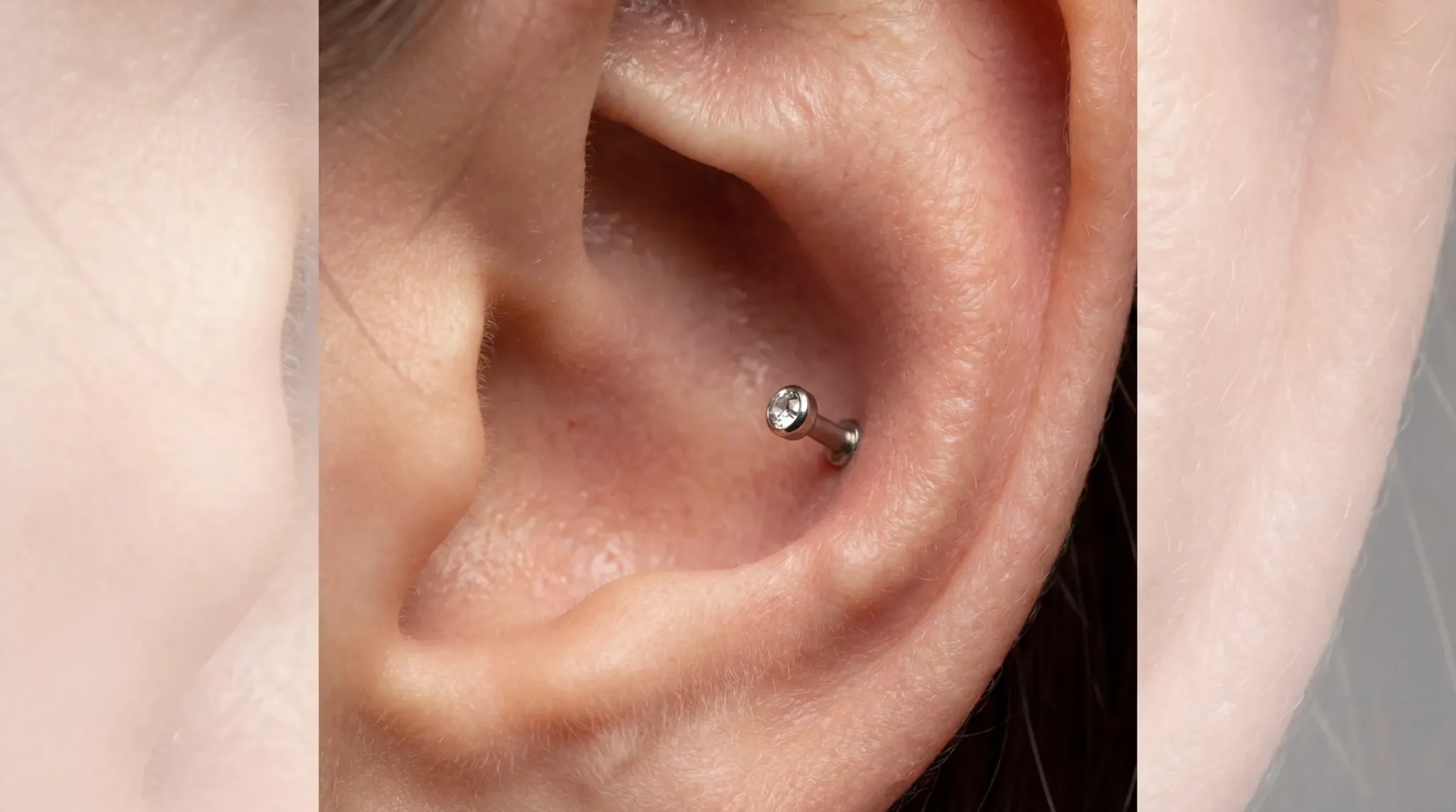 A high-quality close-up of a professional conch piercing featuring a 316L stainless steel stud in a curated ear.